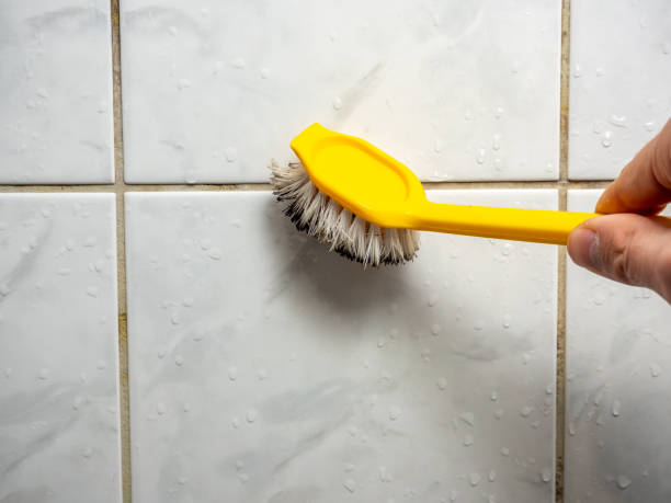 Best Home Mold Removal  in Larksville, PA