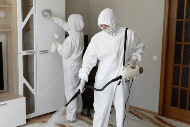 Best Commercial Mold Removal  in Larksville, PA