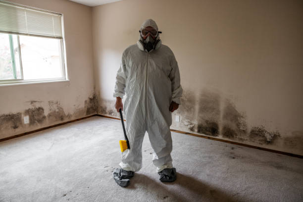 Best Mold Testing  in Larksville, PA